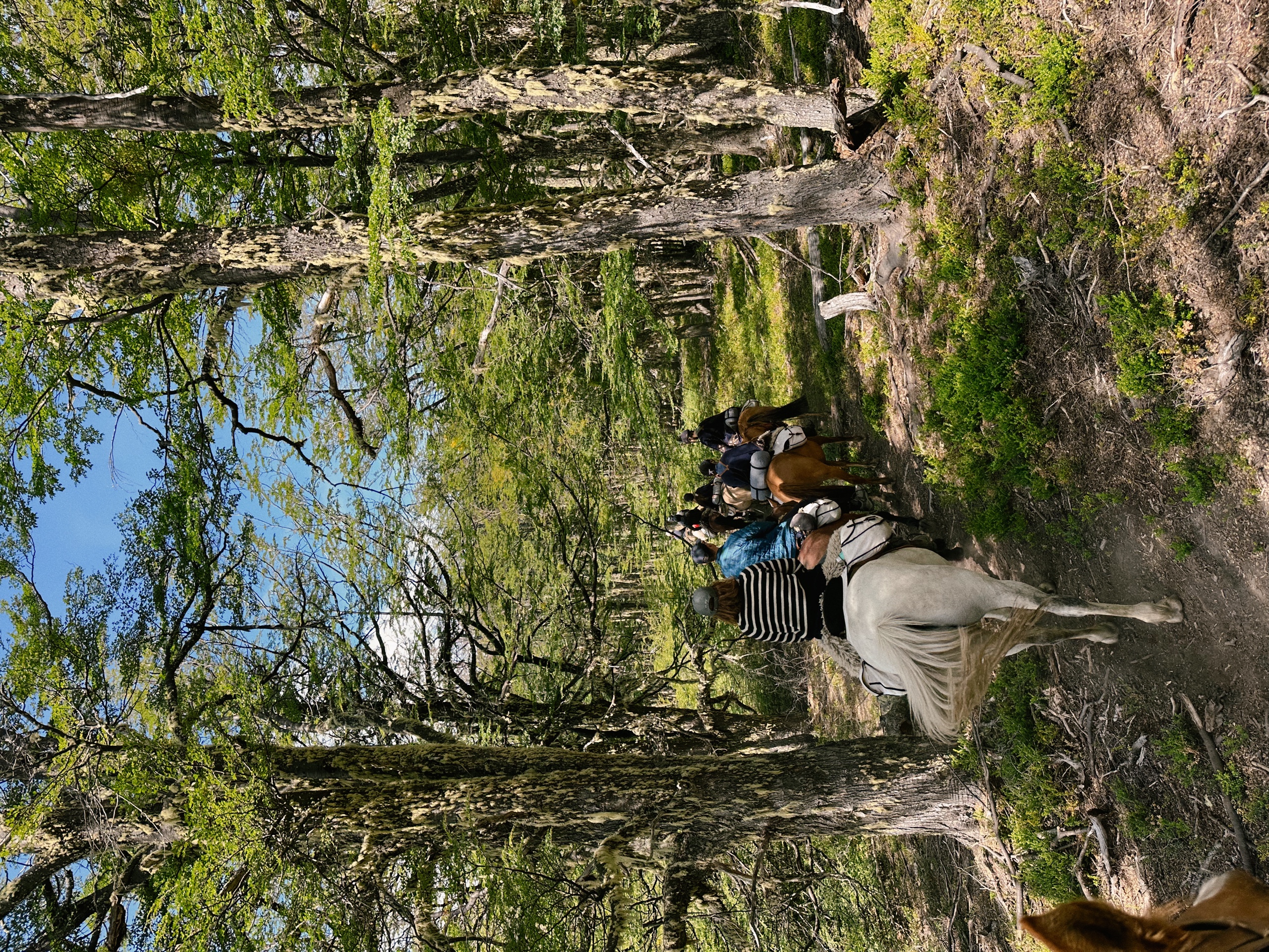 Patagonia